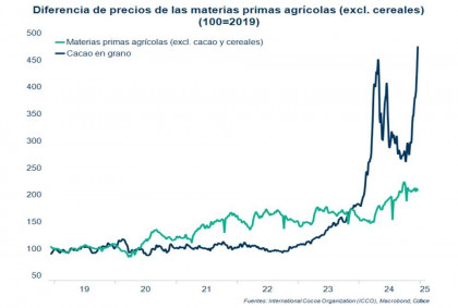 ​Los precios del cacao se disparan un 50% en vísperas de las fiestas navideñas