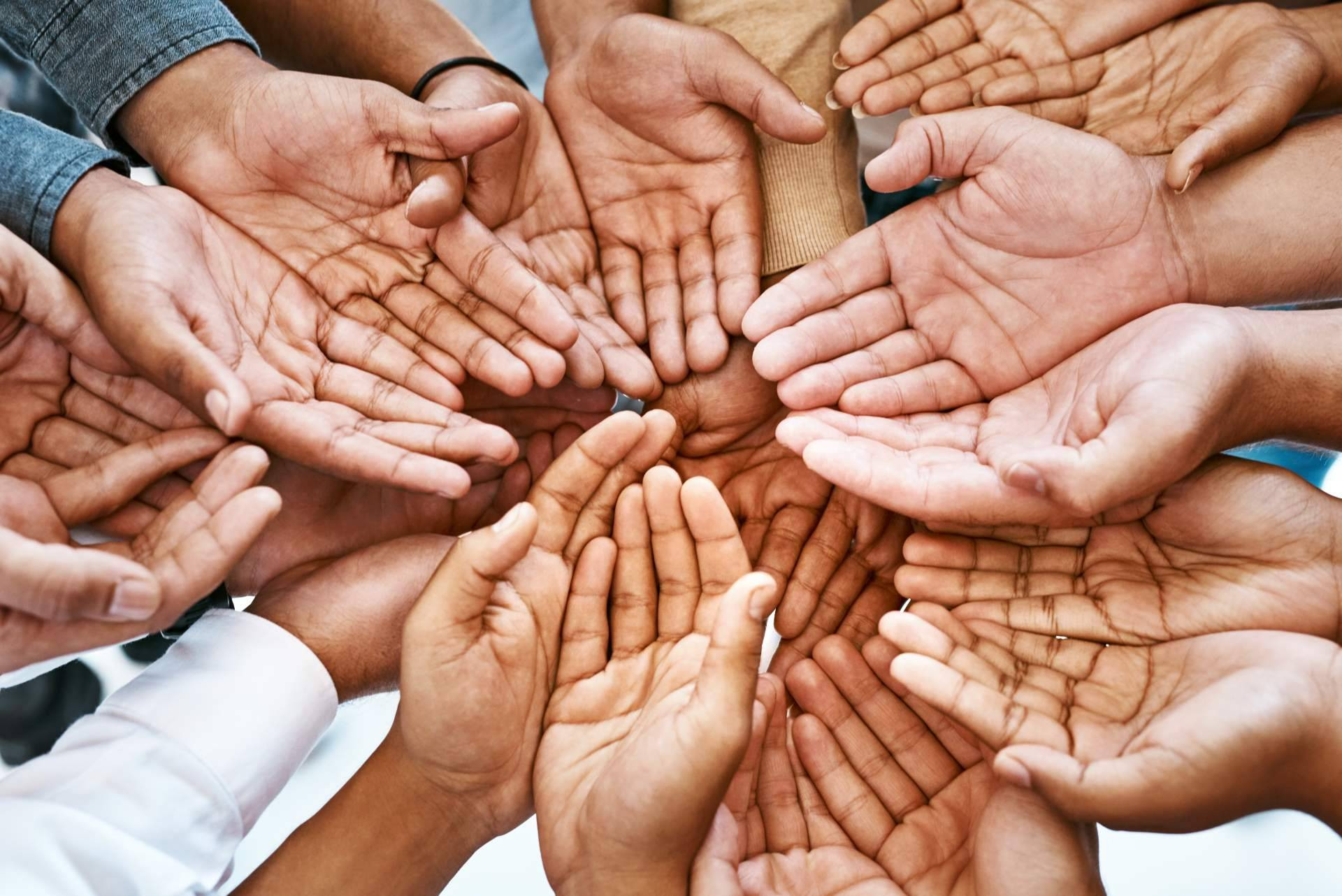  Volungo es una red social solidaria que conecta personas altruistas con entidades filantrópicas 