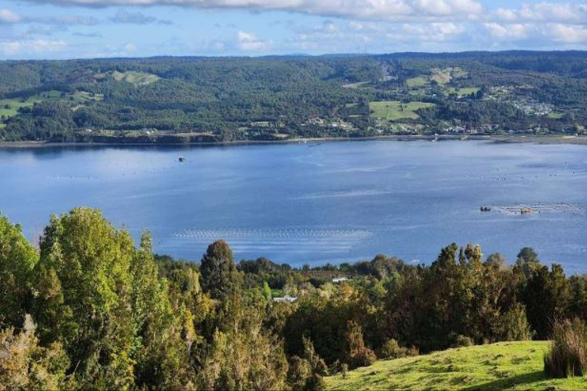  Azul Canelo, el proyecto de Latitudes Australes para invertir en una parcela y descubrir la belleza de Chiloé 