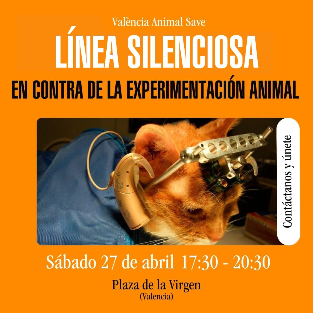 València Animal Save vuelve a mostrar en pleno centro la realidad que ...