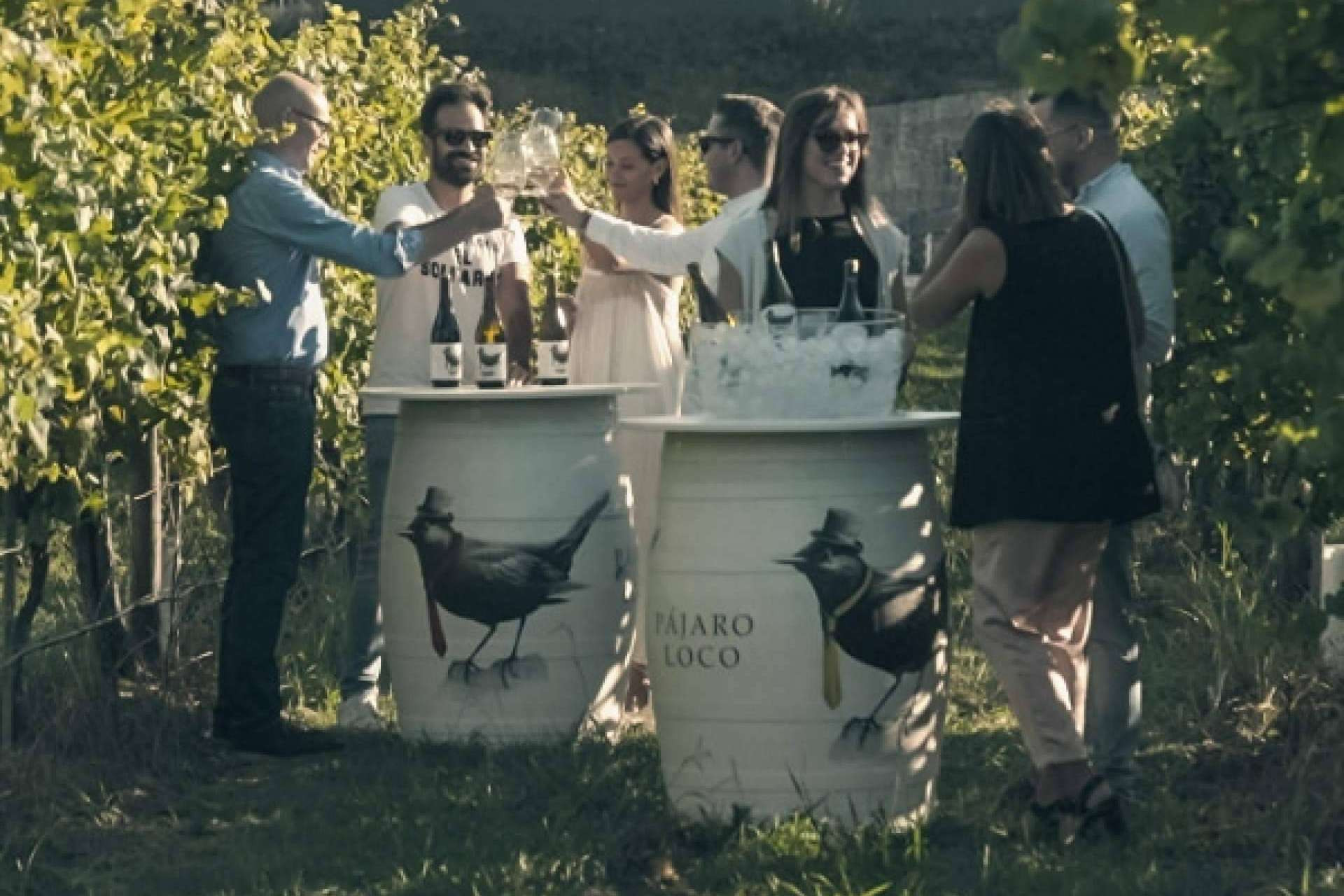  Privios, una marca vitivinícola exclusiva en la producción de vinos blancos y tintos 