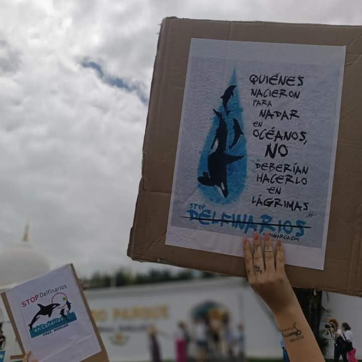  Protestas en Loro Parque contra la cruel realidad de los acuarios 