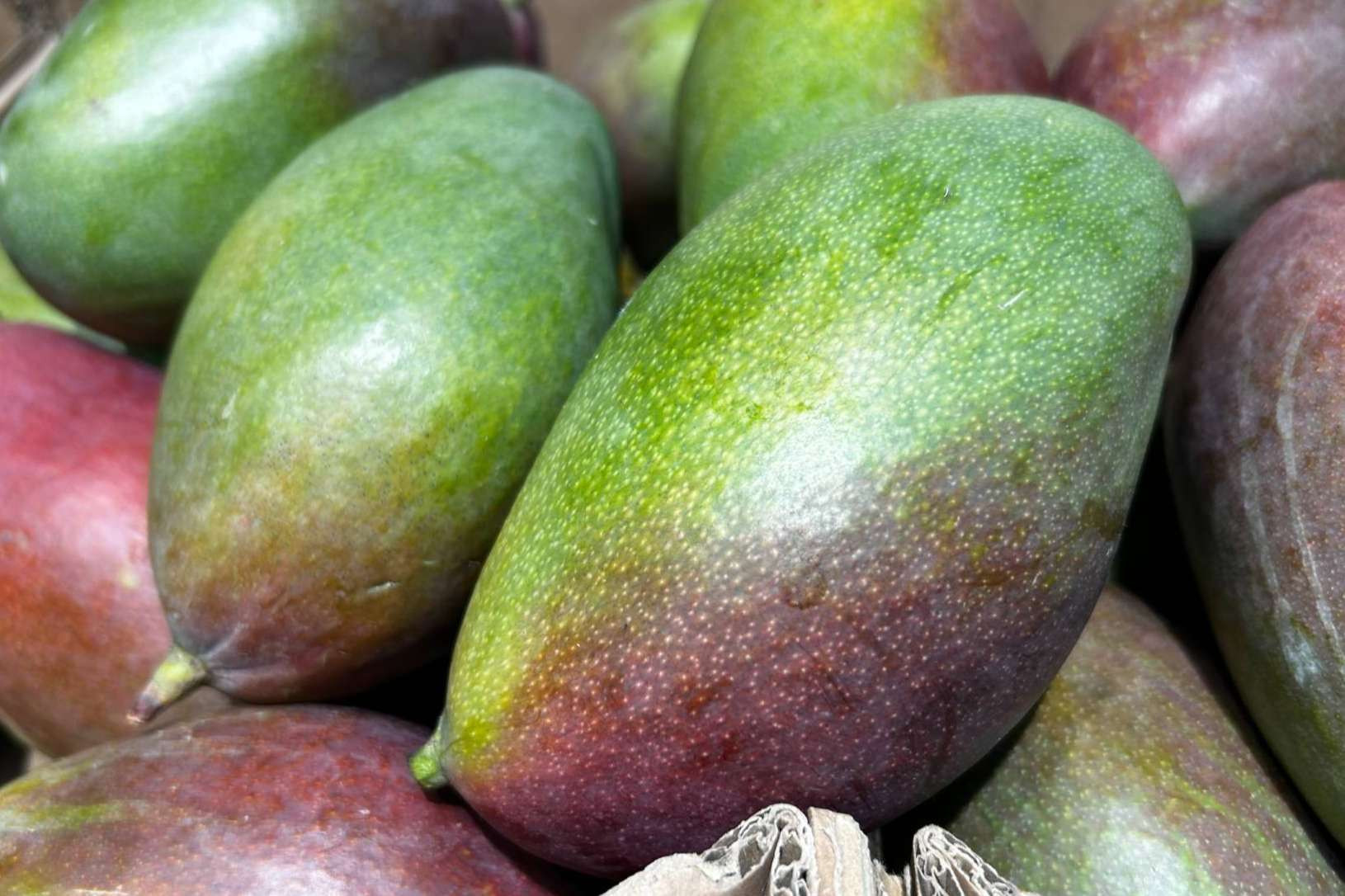  Baor Products presenta su concentrado de mango clarificado 65 brix y concentrado de mango 50 brix cloudy 