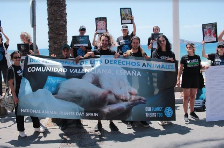  Se celebra un encuentro mundial para exigir la liberación de todos los animales 