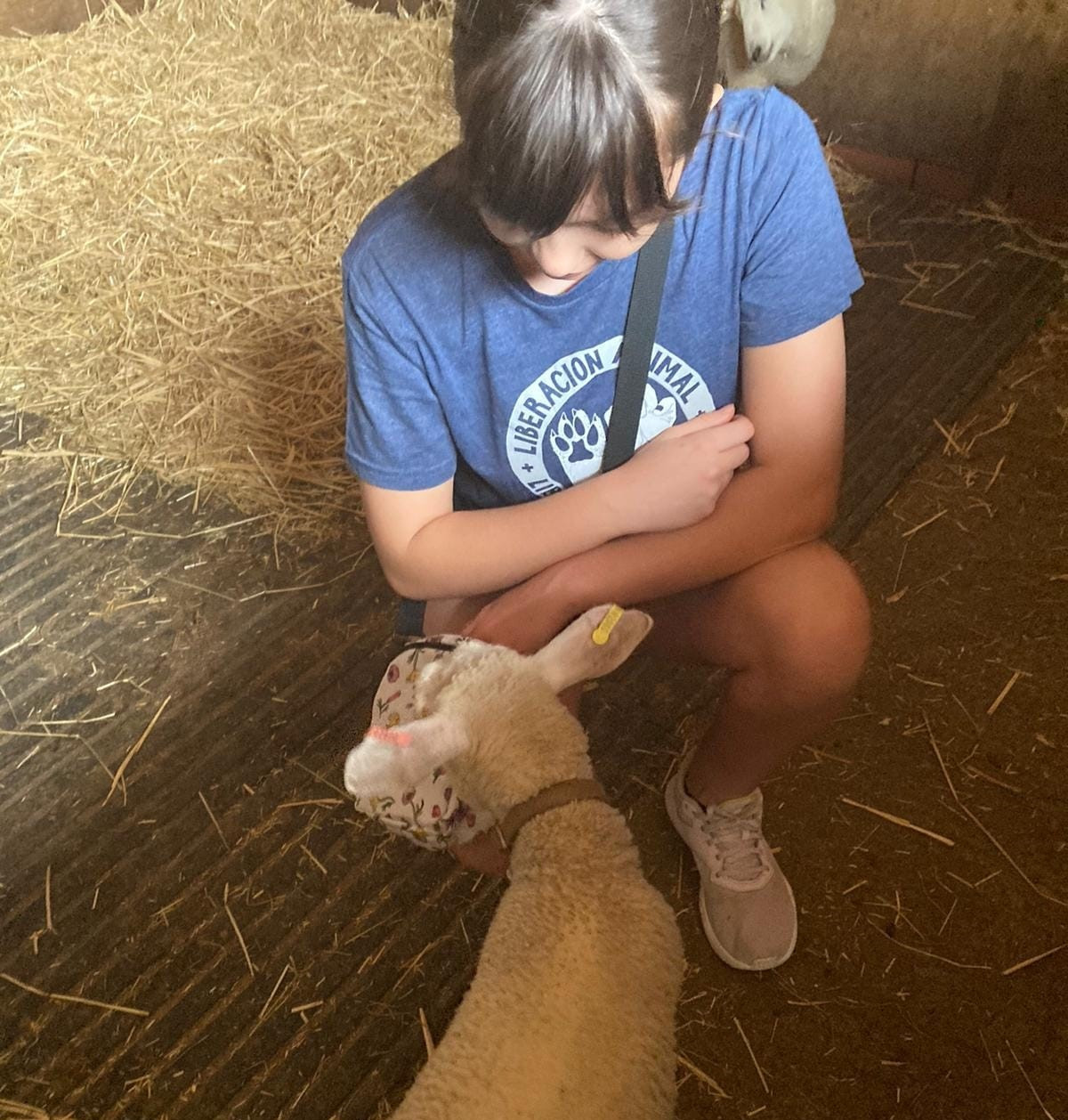  Entrevista a Chloe, una adolescente que lucha por la liberación animal 