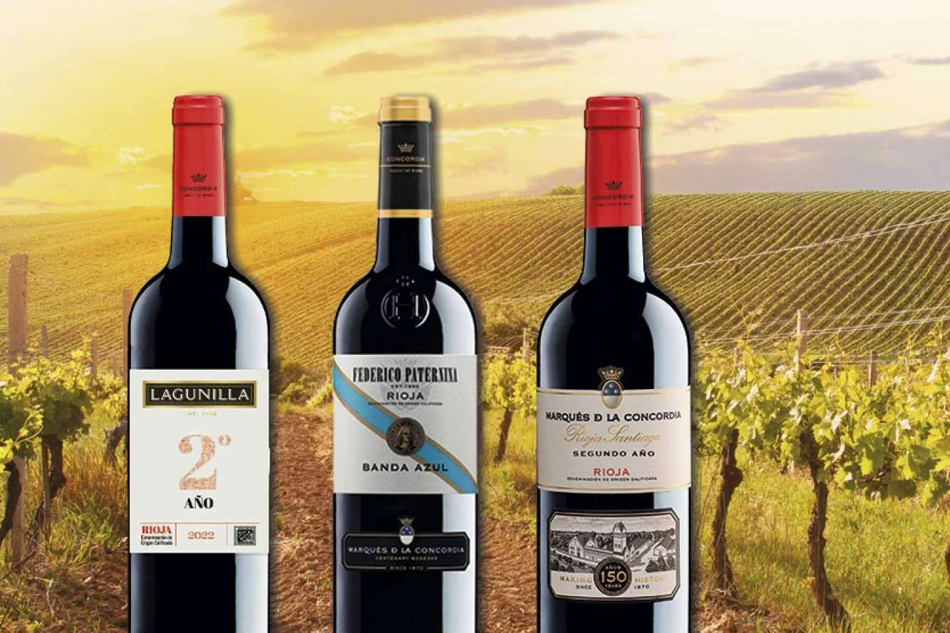  Conocer los vinos de segundo año de Marqués de la Concordia Family of Wines 