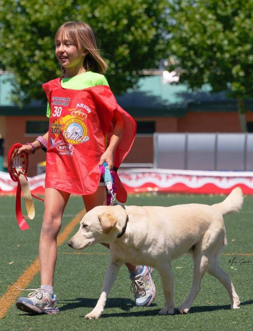  Una niña de diez años y su Labrador, una perra adoptada, ganadoras de la Copa en España de Búsqueda y Localización de Objetos 