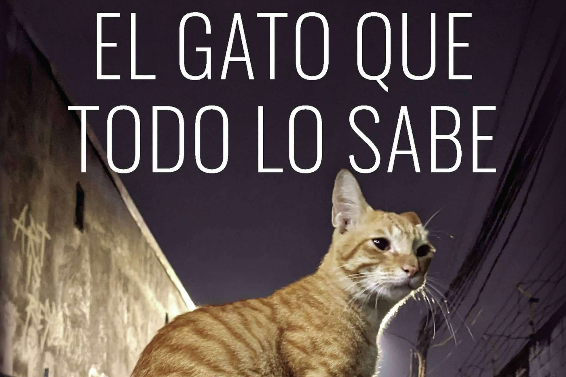  Editorial Caligrama presenta el debut de Fernando Hevia con un apasionante drama familiar, 'El gato que todo lo sabe’ 