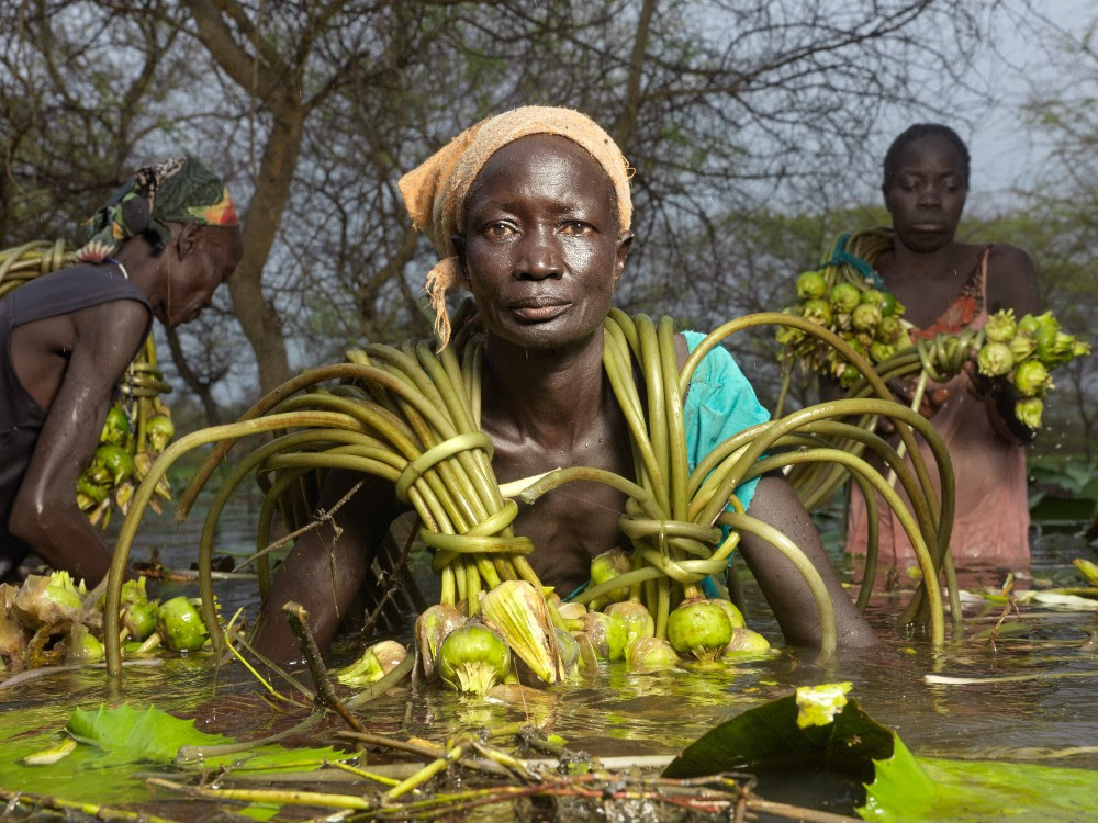  ​Una de cada once personas en el mundo sufre de hambre, según un informe de Naciones Unidas 