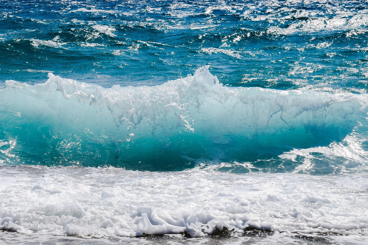  Mares y océanos, los pulmones azules del planeta 