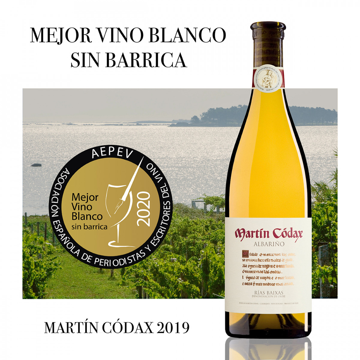 MEJOR VINO BLANCO SIN BARRICA   MARTIN CODAX  (1)