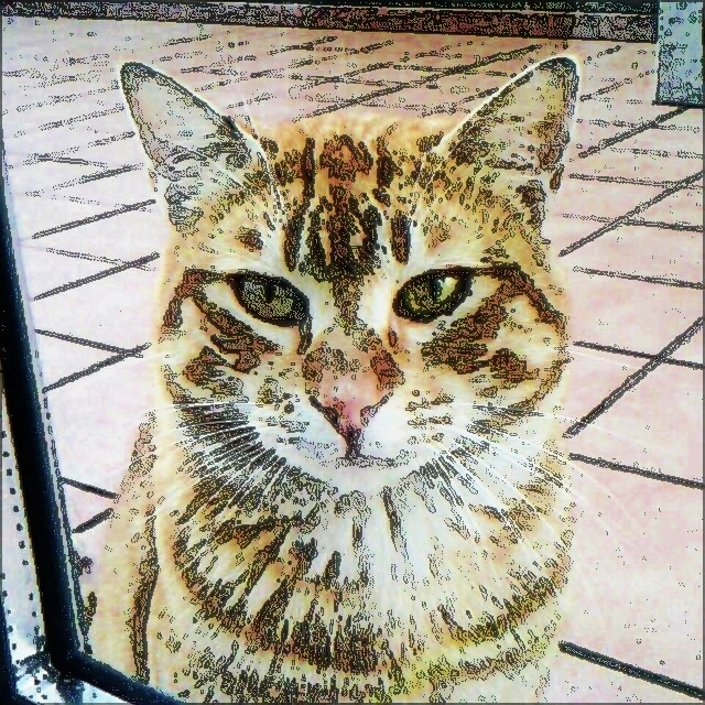CYMERA 20220719 041922