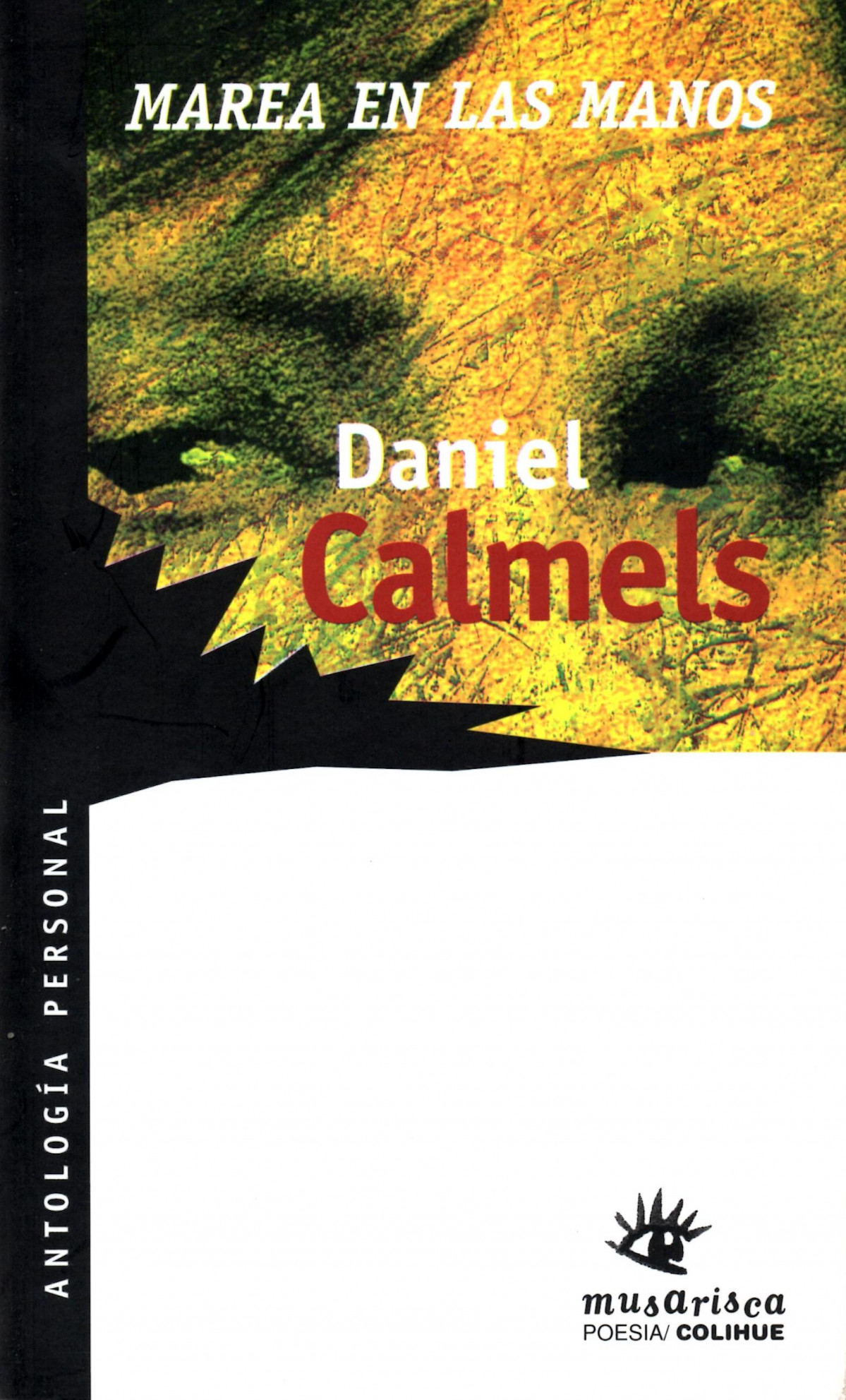 Libro Calmels 8 Marea en las manos