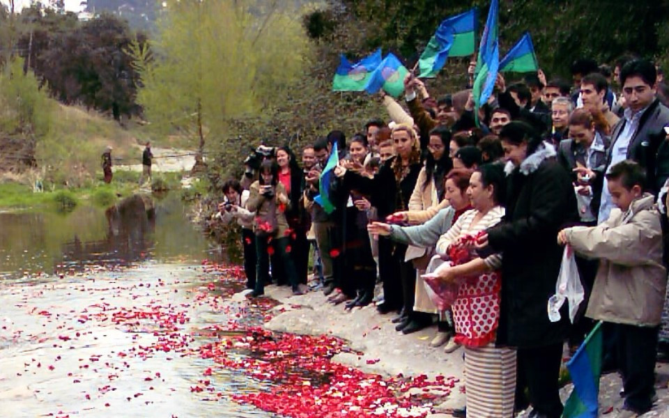 2002 Flores en el rio