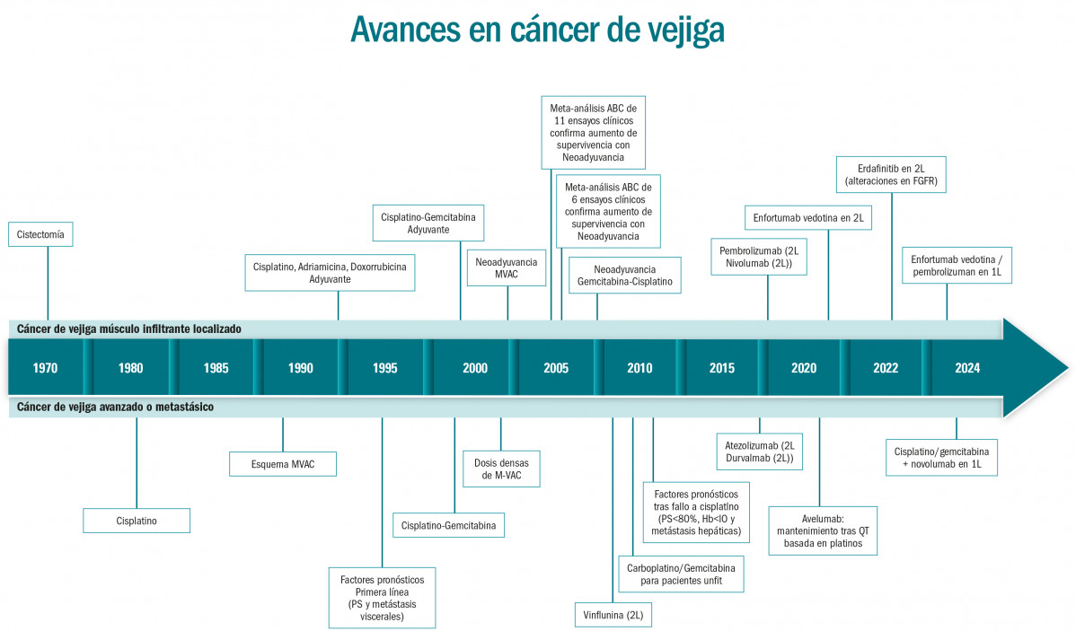 13.05.2024 GRAFICO CANCER VEJIGA