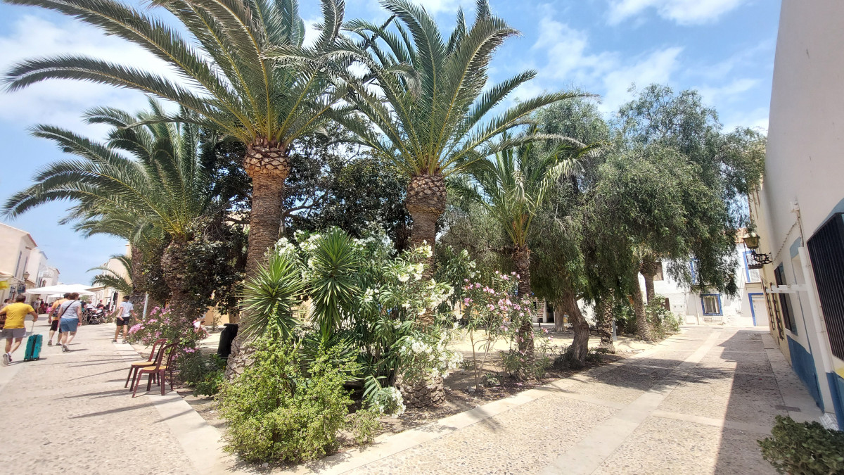 Plaza de Tabarca