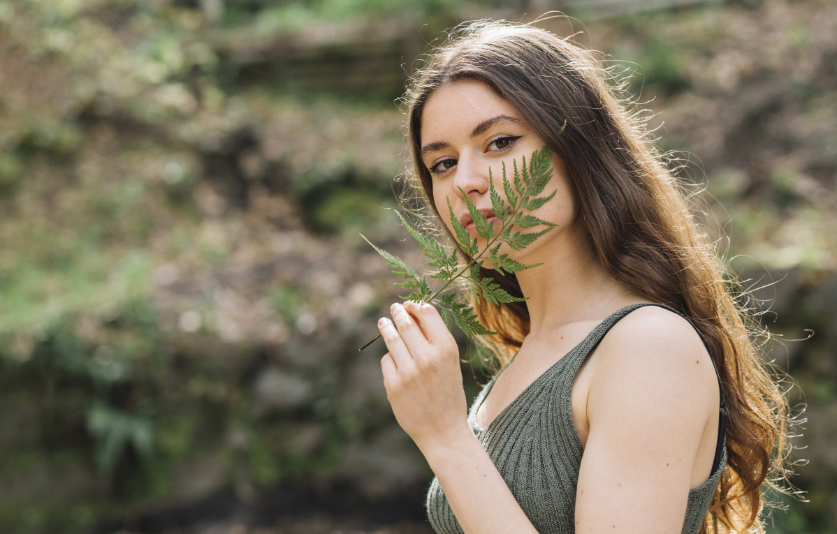 Plantas medicinales   Cabello