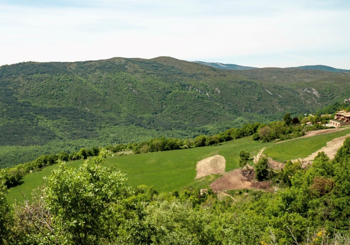 Ecológica de los Pirineos