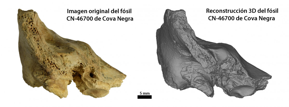 Figura 1 español