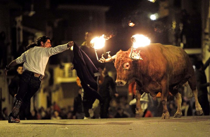 Toros embolados e1661934144141