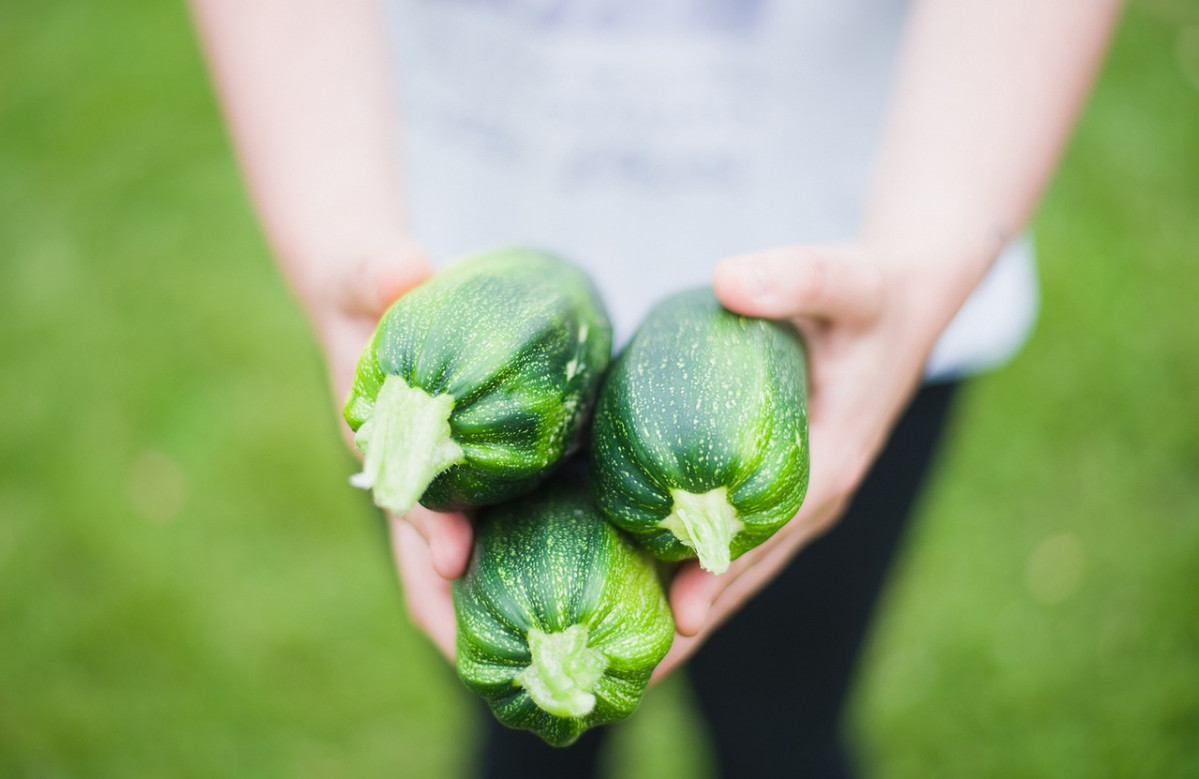 Zucchinis 1869941 1280