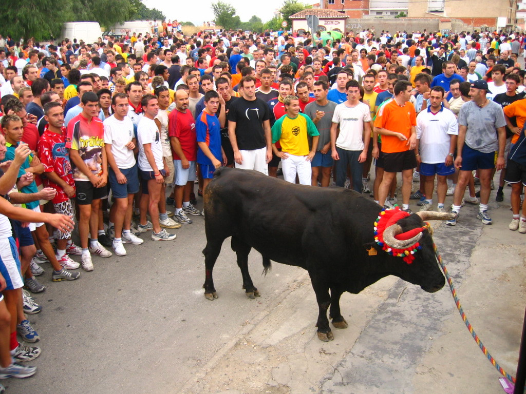 El torico de la cuerda Chiva