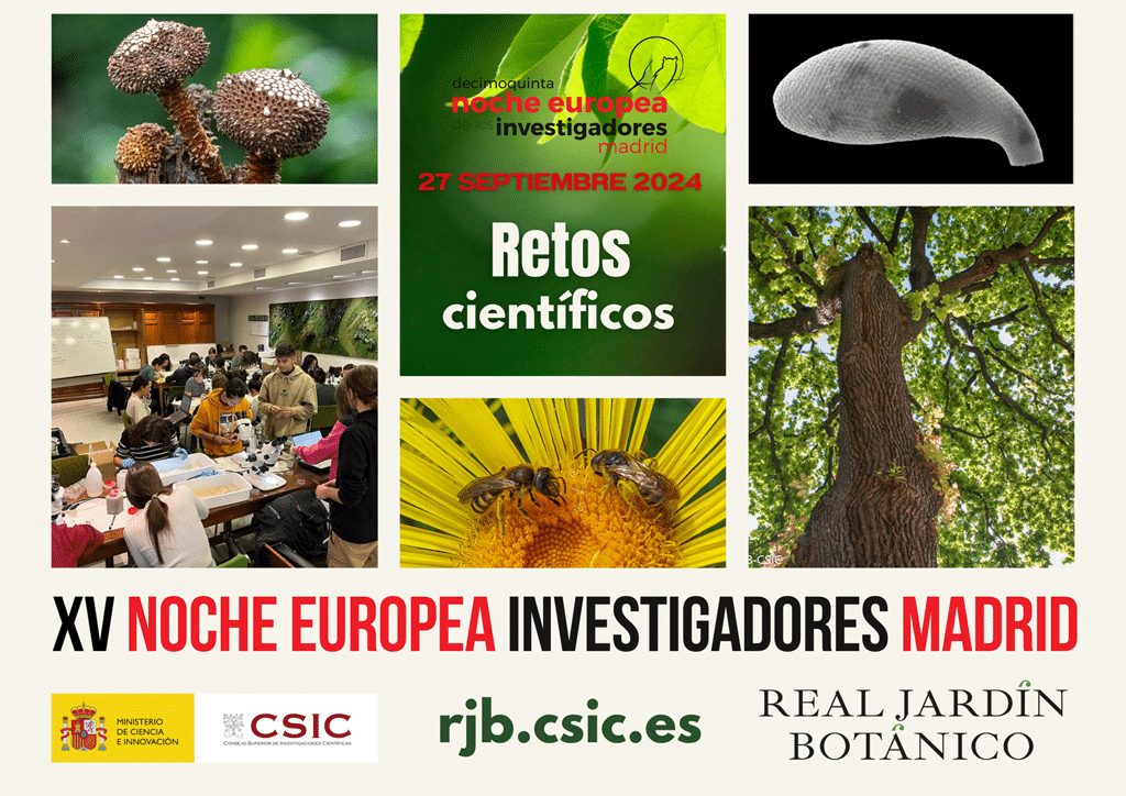 Noche investigadores 2024 rjb