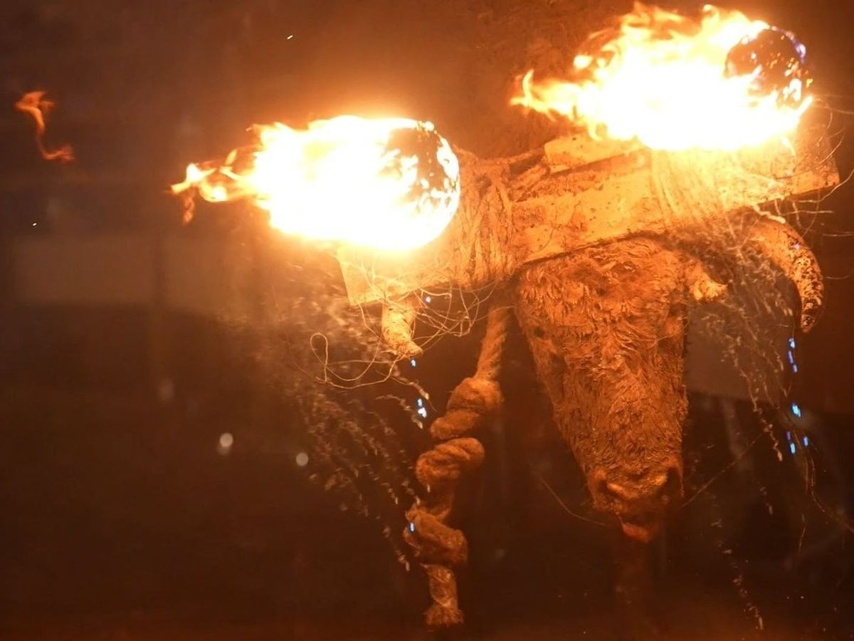 El juez ratifica la suspension de la celebracion del toro jubilo de medinaceli pese a las alegacione 4c90