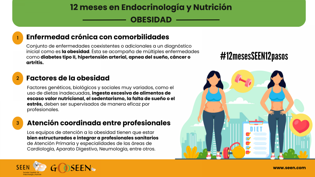 Campaña 12 meses Obesidad