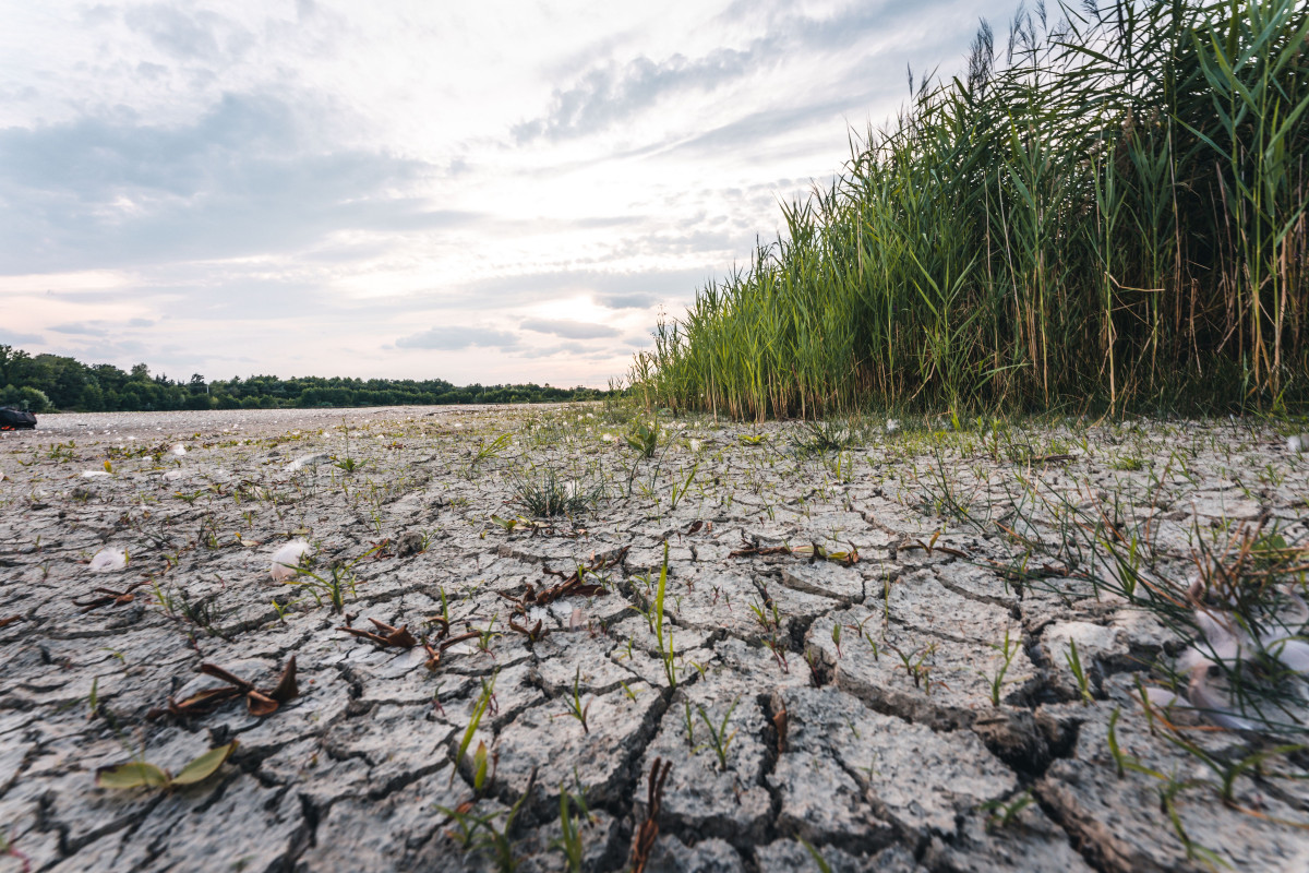 Dry lake in bavaria germany drought and climate c 2023 11 27 05 02 17 utc